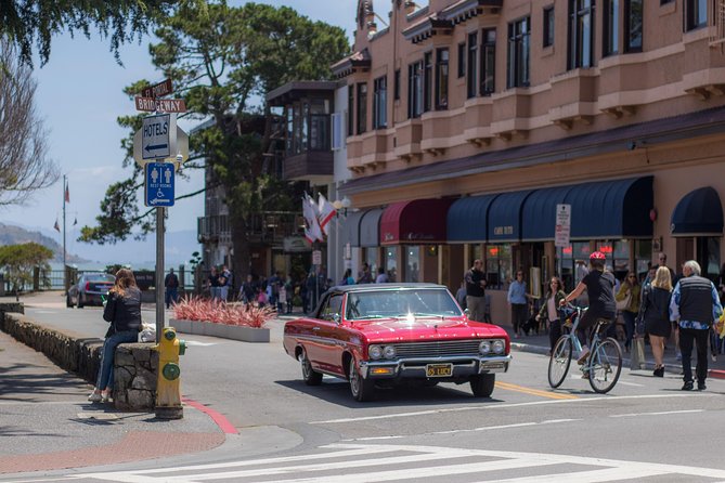 Muir Woods and Sausalito (Return by Bus or Ferry) - Sausalito in one carefully planned hour
