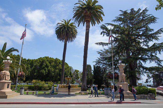 Muir Woods and Sausalito (Return by Bus or Ferry) - The Golden Gate Bridge North Vista Point