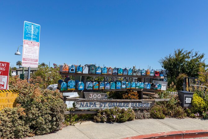 Muir Woods and Sausalito Tour Entrance Fee Included - One hour beside the bay in Sausalito