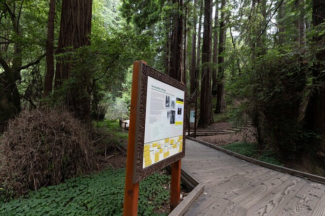 Muir Woods and Sausalito Tour Entrance Fee Included - Is $84 a fair price?