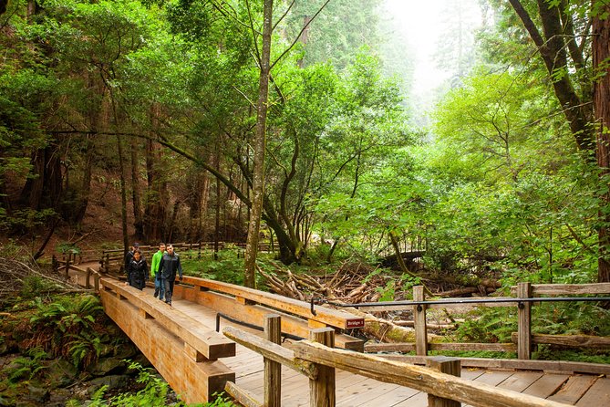 Muir Woods and Sausalito Tour Plus Bay Cruise - Why this combination works in one morning