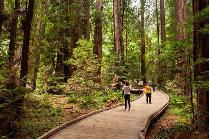 Muir Woods and Sausalito Tour Plus Bay Cruise - The Pier 39 bay cruise