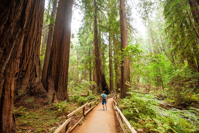Muir Woods and Sausalito Tour Plus Bay Cruise - Who will get the most from this tour