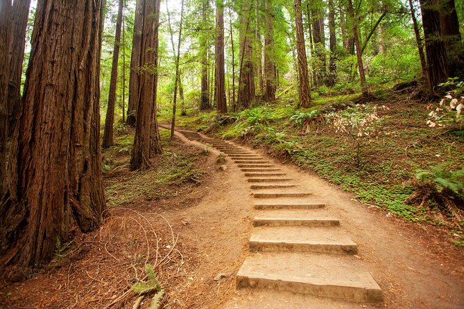 Muir Woods and Sausalito Tour Plus Bay Cruise - Crossing the Golden Gate Bridge from Union Square