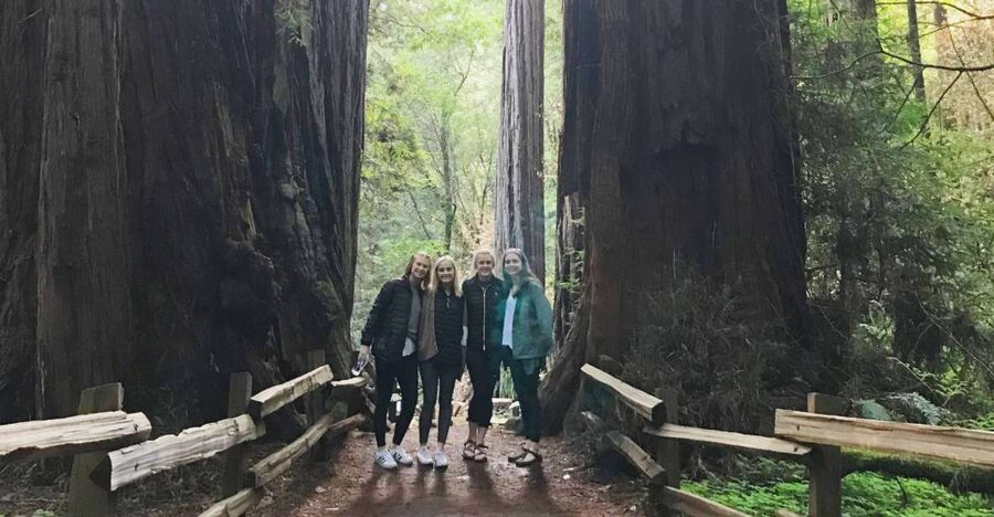 Muir Woods, Golden Gate Bridge & Sausalito Private Tour 3+hr - Key details at a glance