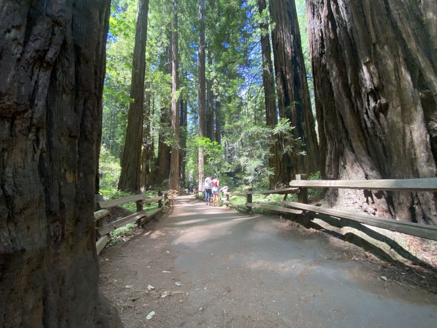 Muir Woods, Golden Gate Bridge & Sausalito Private Tour 3+hr - Is $390 good value for up to six people?