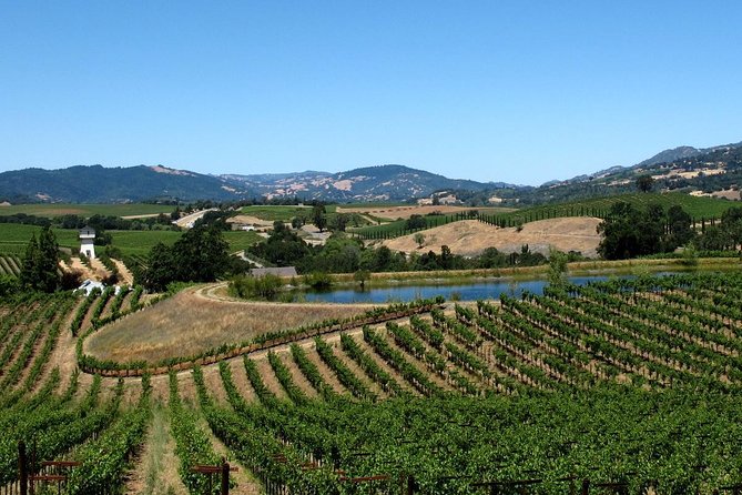 Muir Woods & Napa-8hr-Private Scenic Wine Tour From San Francisco - Why this private route works well