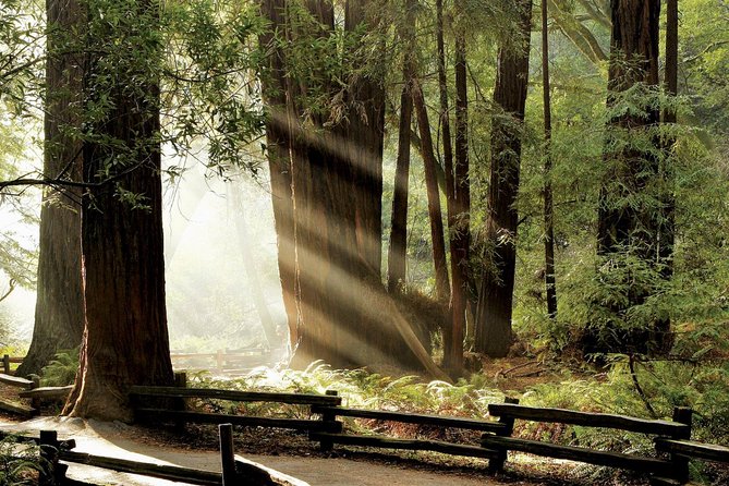 Muir Woods & Napa-8hr-Private Scenic Wine Tour From San Francisco - A sparkling toast at Fort Baker