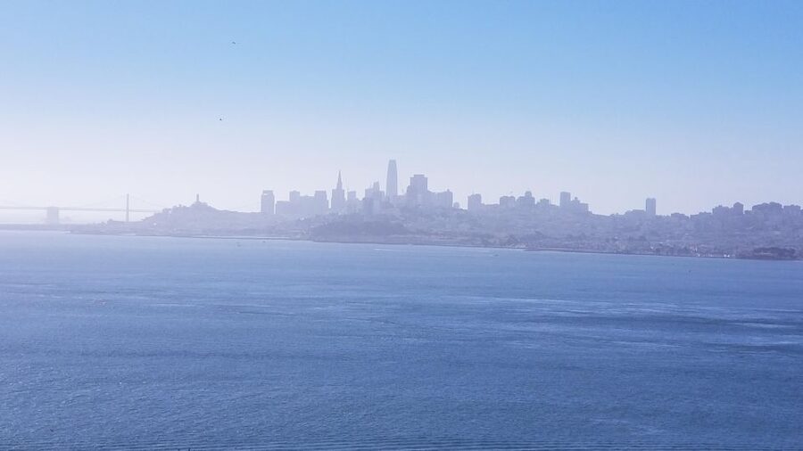 Muir Woods, Sausalito and Ferry back to Fisherman's Wharf - Practical tips for a smoother day
