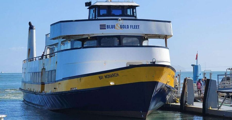 Muir Woods, Sausalito and Ferry back to Fisherman's Wharf - A forest visit with room to set your own pace