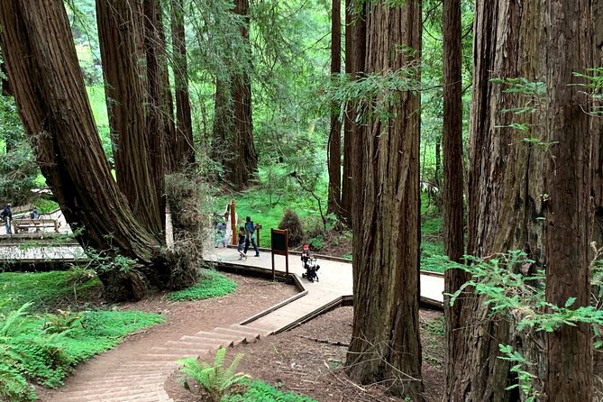 Muir Woods, Sausalito and Golden Gate Bridge - Marin Headlands Viewpoints Worth the Stops
