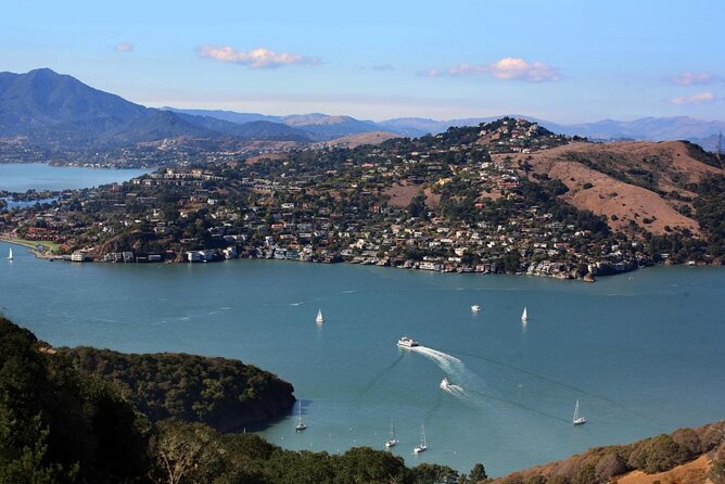 Muir Woods, Sausalito and Tiburon Day Trip from San Francisco - The four-hour clock and how to use it well