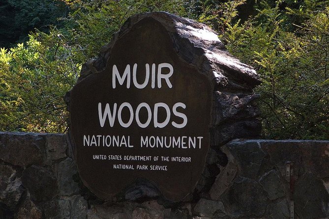 Muir Woods, Sausalito and Tiburon Day Trip from San Francisco - Muir Woods and its ancient redwoods