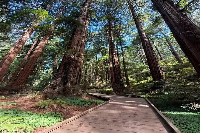Muir Woods, Sausalito, Battery Spencer Premium Small-Group Tour - Key points at a glance