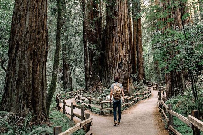 Muir Woods & Sausalito: Small Group Experience - Why this four-hour outing works well