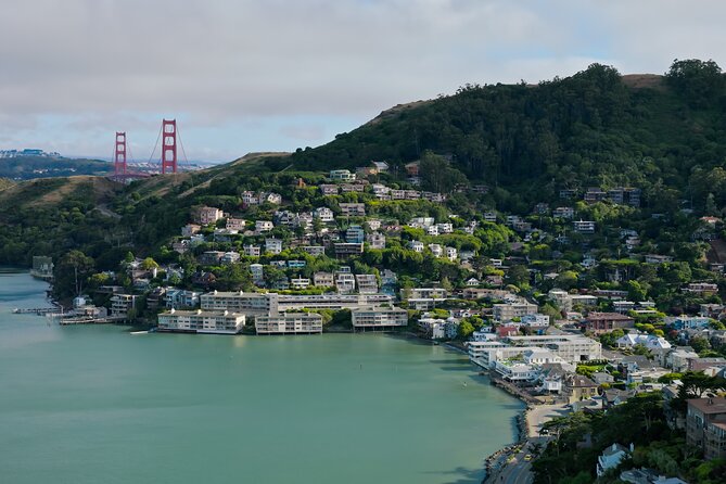 Muir Woods & Sausalito: Small Group Experience - One hour for waterfront Sausalito
