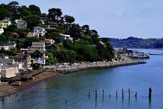 Muir Woods & Sausalito: Small Group Experience - Who should book this experience?