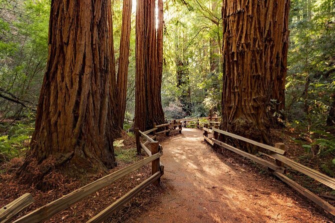 Muir Woods & Sausalito Tour - Key points to know before booking