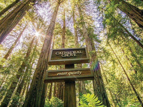 Muir Woods & Sausalito Tour - Sausalito in 50 minutes