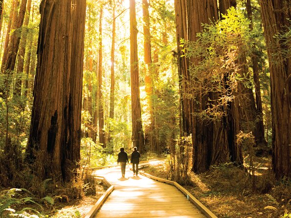 Muir Woods & Sausalito Tour - Transport reliability and guide quality