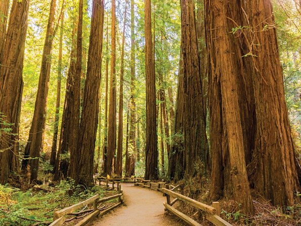 Muir Woods & Sausalito Tour - Who should book this outing?