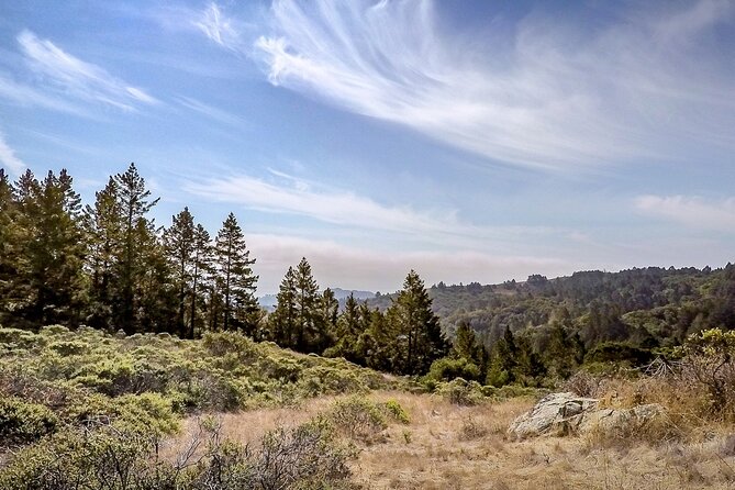 Muir Woods Self-Guided Driving and Walking Audio Tour - The Stories: History, Nature, and Conservation