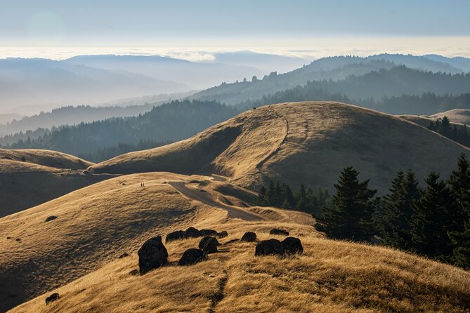 Muir Woods Self-Guided Driving and Walking Audio Tour - Reservations Matter More Than the App