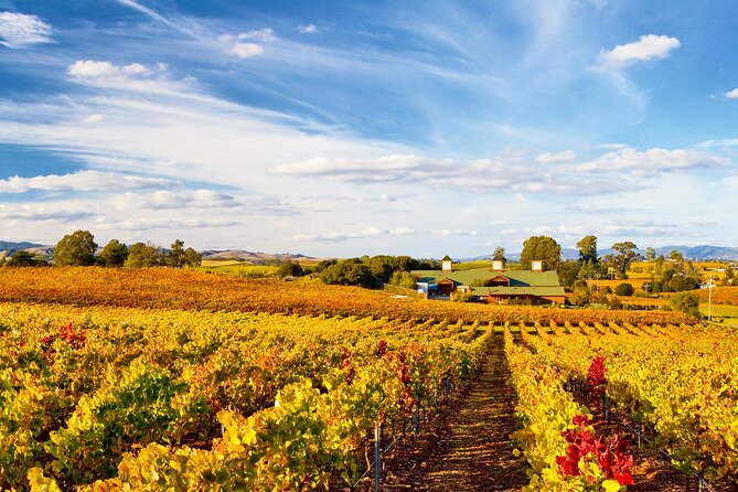 Muir Woods & Wine Tour: Redwoods & Tastings at 3 Wineries - What the $199 price really buys
