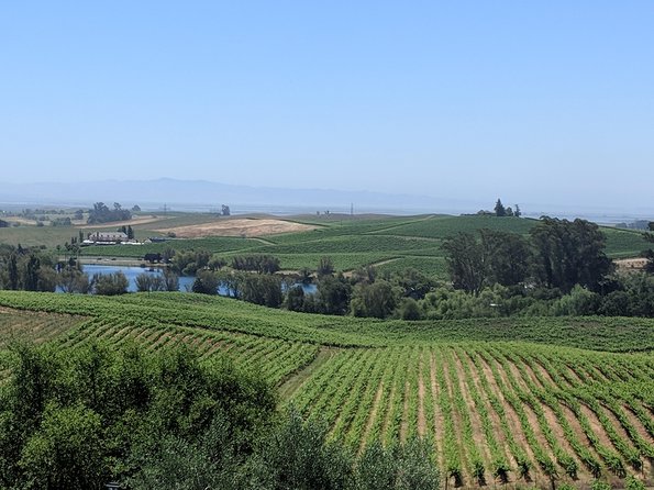 Napa and Sonoma Valley Wine 6 hour Tour from San Francisco - Key details worth knowing
