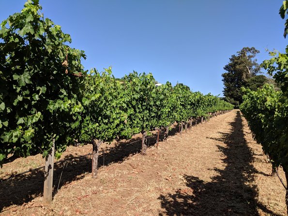 Napa and Sonoma Valley Wine 6 hour Tour from San Francisco - The $612 group price and what it really buys