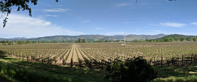 Napa and Sonoma Valley Wine 6 hour Tour from San Francisco - Timing, traffic, and how to plan a better day