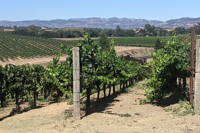Napa and Sonoma Valley Wine 6 hour Tour from San Francisco - Who will enjoy this private wine-country day