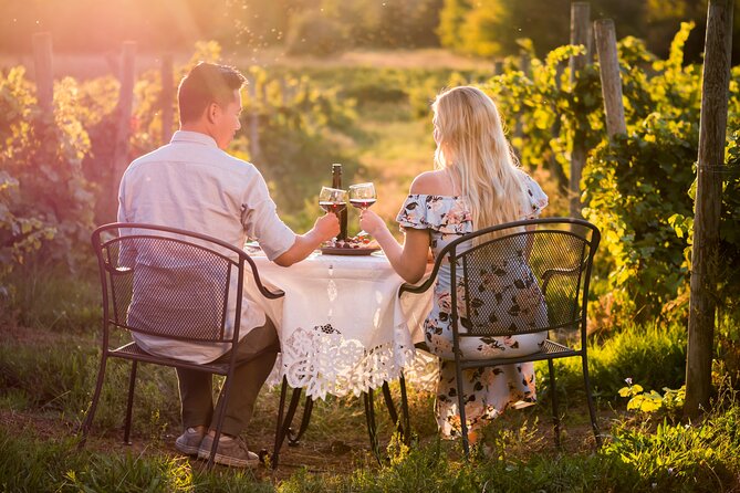Napa or Sonoma Private Wine Tour from San Francisco - Choosing between Napa and Sonoma
