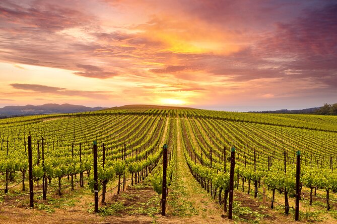 Napa or Sonoma Private Wine Tour from San Francisco - Traveling with a dog or service animal