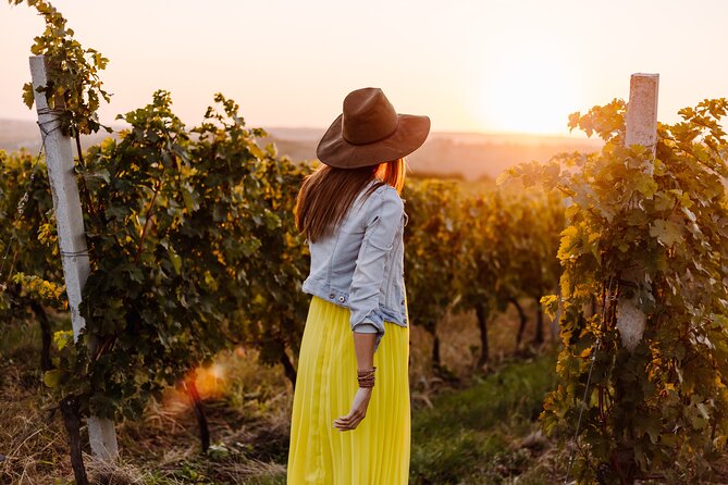 Napa or Sonoma Private Wine Tour from San Francisco - What the eight-hour day can and cannot do