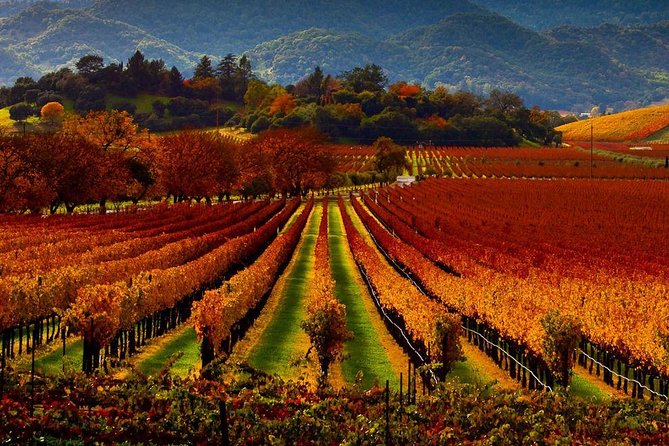 Napa - Sonoma Limo up to 9 passengers - Choosing between Napa and Sonoma