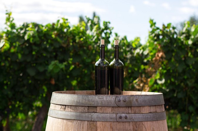 Napa Valley and Sonoma Wine Tour - Choosing family wineries or larger names