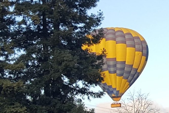 Napa Valley and Sonoma Wine Tour - What the six to seven hours feel like