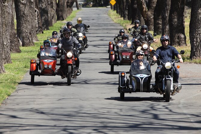 Napa Valley Classic Sidecar Wine tours - A picnic lunch in a scenic setting