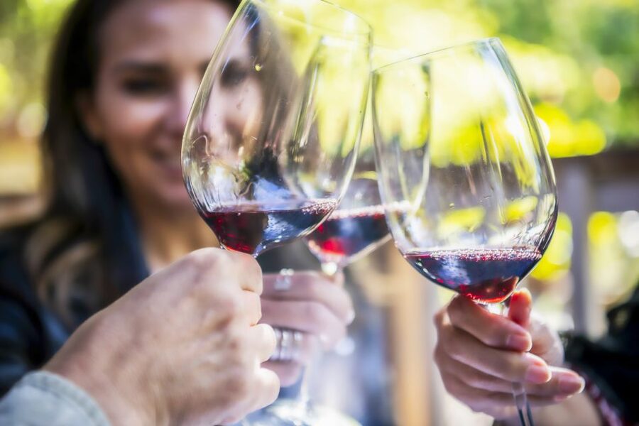 Napa Valley: Guided Wine Tour with Picnic Lunch - The guide is the difference-maker