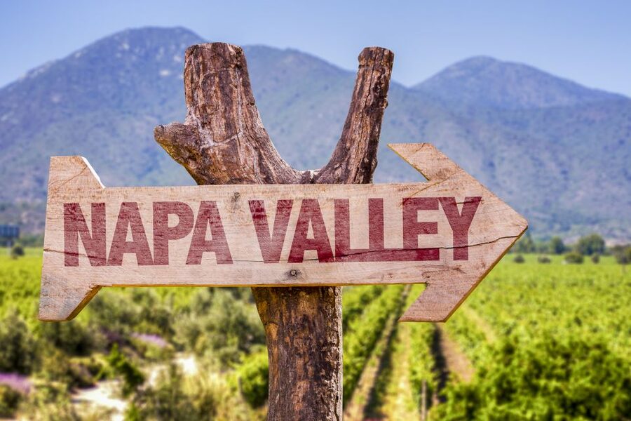 Napa Valley: Guided Wine Tour with Picnic Lunch - What the seven-hour day feels like