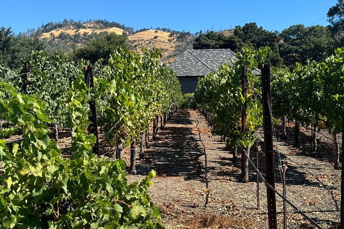 Napa Valley Luxury Wine Tours & Car Services - Building the Day Before You Leave