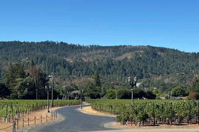 Napa Valley Luxury Wine Tours & Car Services - Winery Stops at Your Own Pace