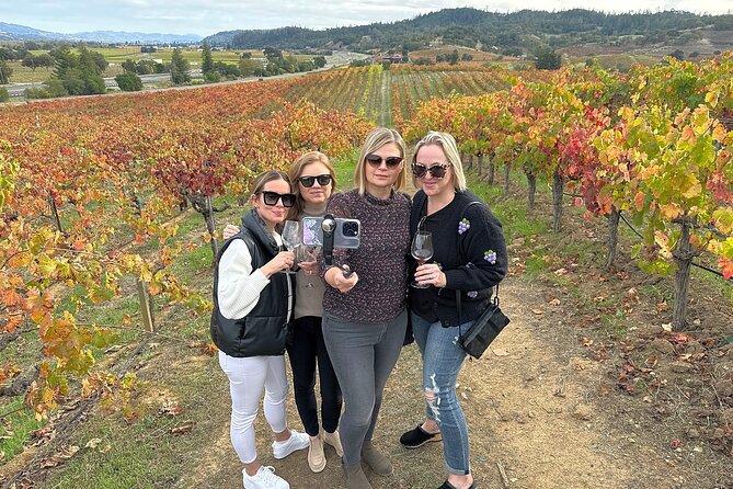 Napa Valley Mountainside Small Group Winery Tour - Why these mountain wineries make the day different