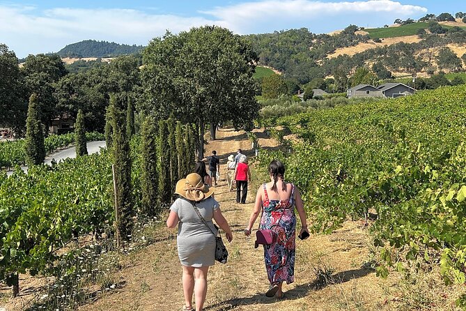 Napa Valley Mountainside Small Group Winery Tour - Should you book the mountainside tour?