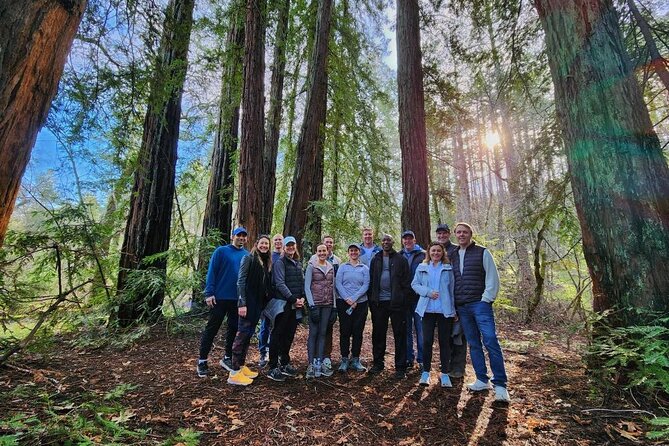 Napa Valley Redwood Hike - Key points at a glance