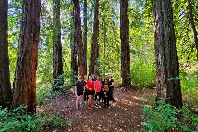 Napa Valley Redwood Hike - Entering Ritchey Canyon on the Redwood Trail