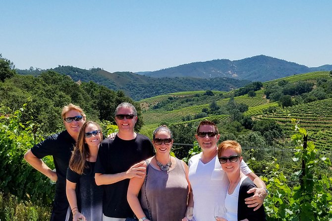 Napa Valley's Best Wine Tour w/ Local Expert - Sonoma: personal wineries and a relaxed pace