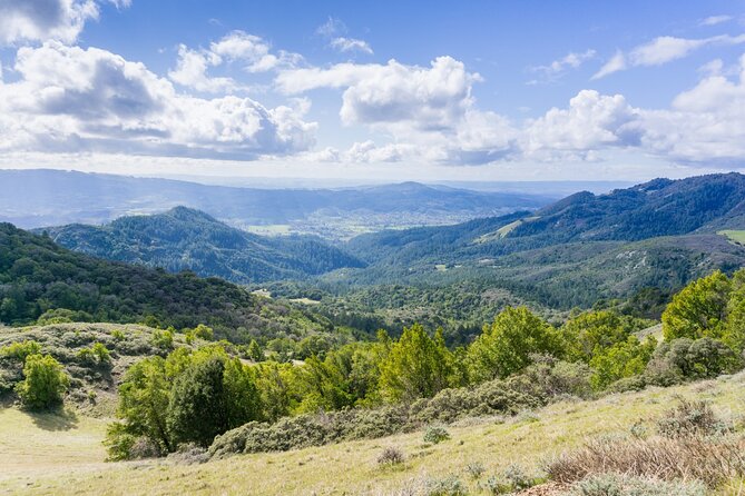 Napa Valley & Sonoma Self-Guided Audio Driving Tour - Mount Saint Helena and California’s Old Faithful
