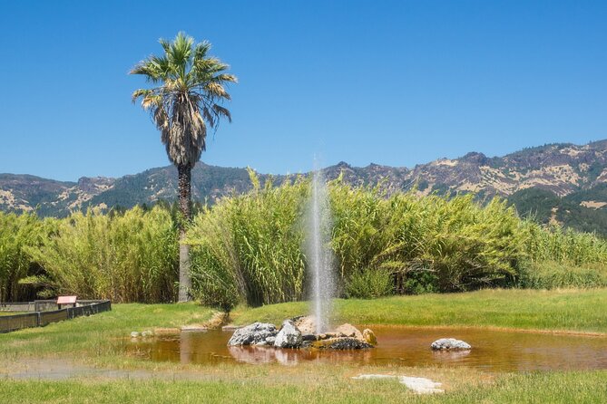 Napa Valley & Sonoma Self-Guided Audio Driving Tour - St. Helena and the people behind famous bottles